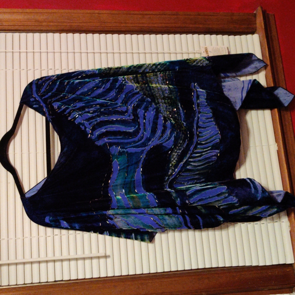 Chico's fancy poncho